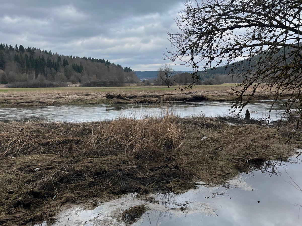 The beauty of the Black&nbsp;Forest